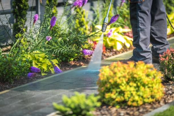 Best Winterizing Services  in Gettysburg, SD